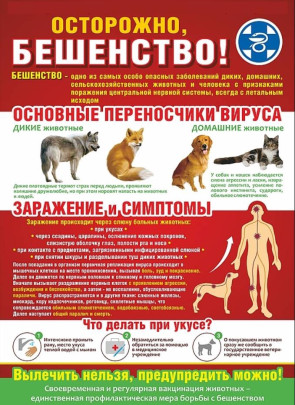 Осторожно, бешенство! Осторожно, бешенство!.