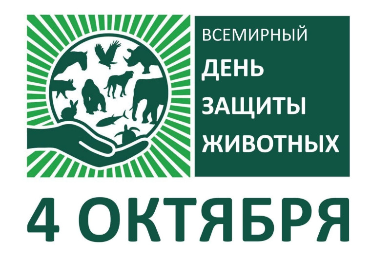 Акция "Лучше маленькая помощь,чем большое сожаление".